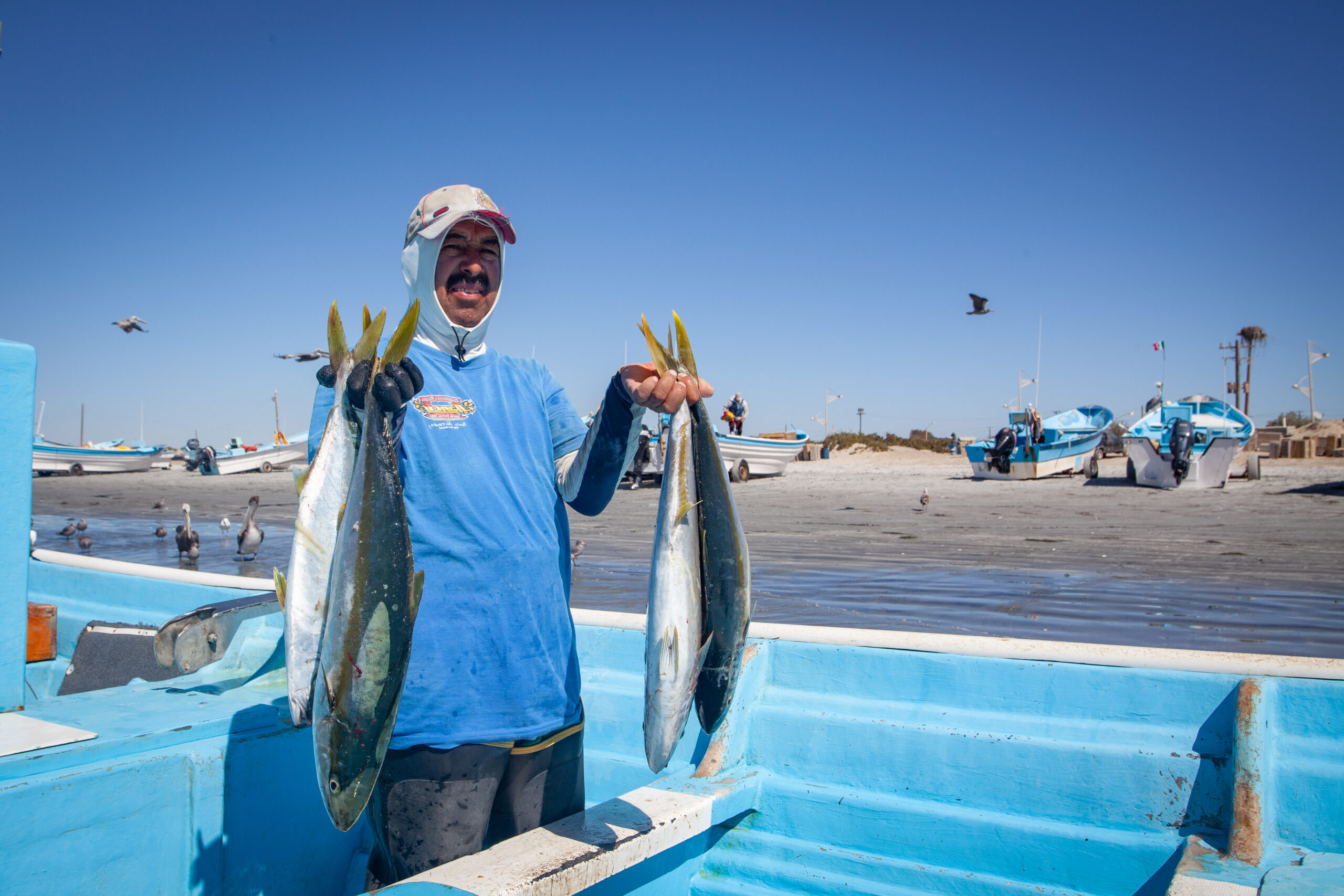 Oceana Carlos Aguilera Jureles