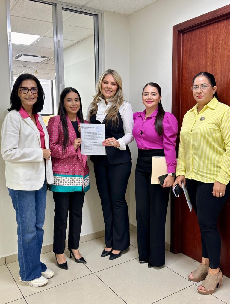 20240430_ComisionFamilia-768x1012