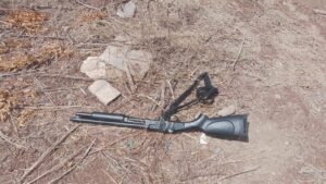 Arma de fuego asegurada