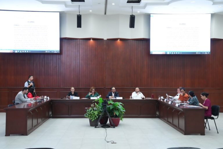 20240626_ComisionesUnidas-768x514