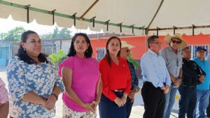 WhatsApp Image 2024-09-17 at 7.31.04 PM