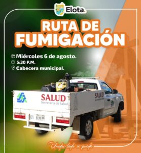 Imagen de WhatsApp 2025-08-05 a las 15.01.37_f7c570bd