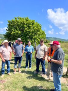 Imagen de WhatsApp 2025-10-06 a las 13.09.35_90d3a335