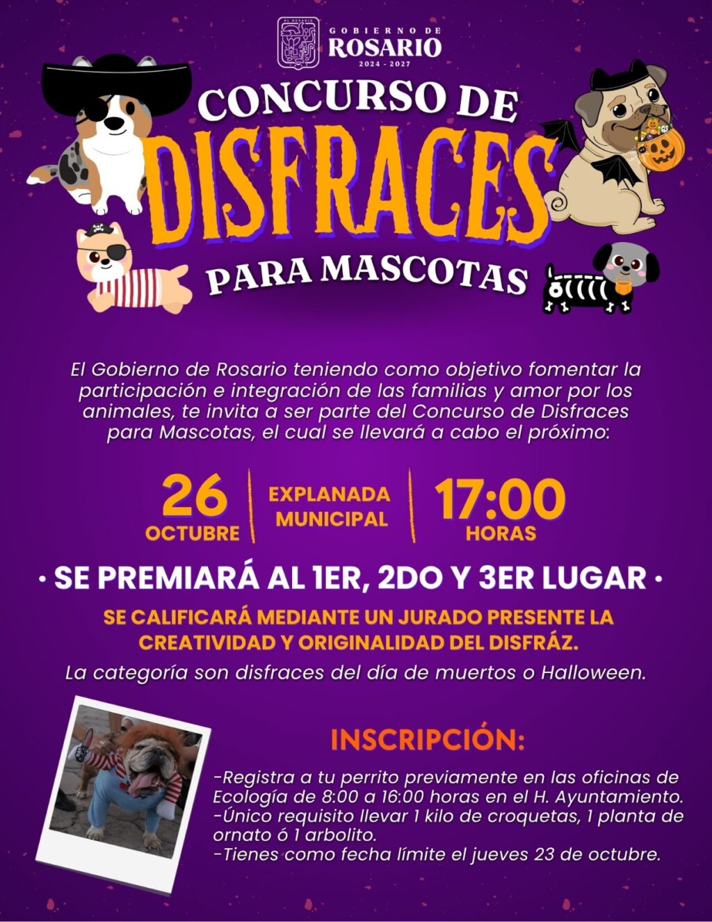 Imagen de WhatsApp 2025-10-21 a las 11.43.05_6937b27e