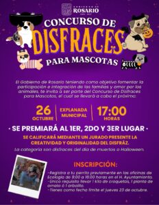 Imagen de WhatsApp 2025-10-21 a las 11.43.05_6937b27e