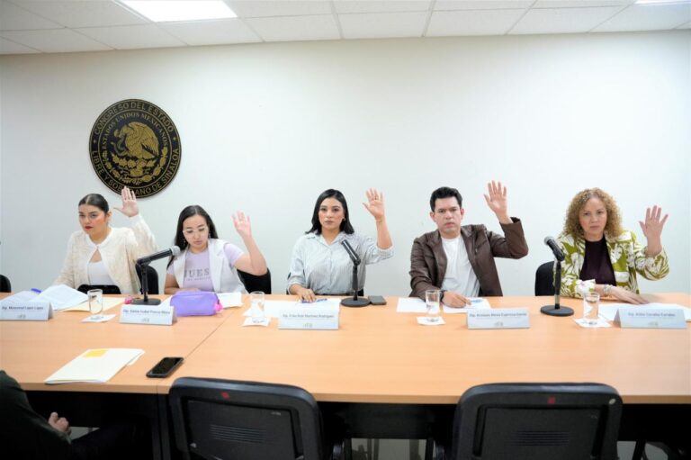 20251124_Cjuventud-768x511