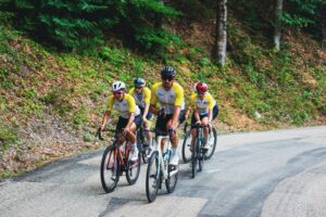 d3abf6d8-b8cb-478d-a645-10cbc173f001