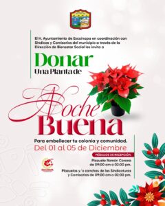 Imagen de WhatsApp 2025-12-02 a las 08.52.01_39510972