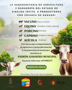 WhatsApp Image 2026-01-13 at 2.36.39 PM