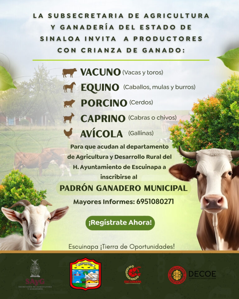 WhatsApp Image 2026-01-13 at 2.36.39 PM