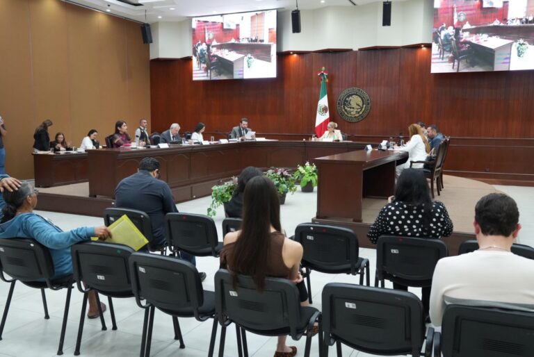 20260210_Dpermanente3-768x514