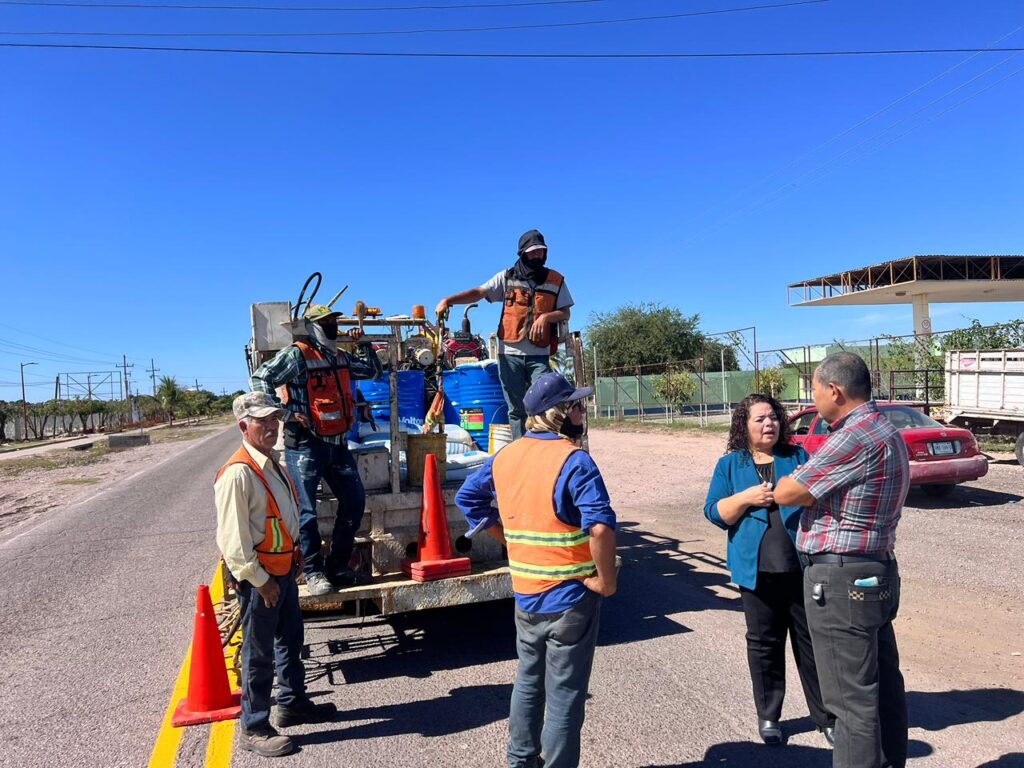 WhatsApp Image 2026-02-13 at 3.08.46 PM