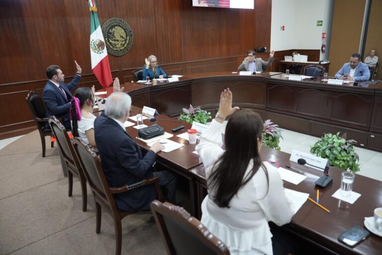 20260303_Sesion1-768x513