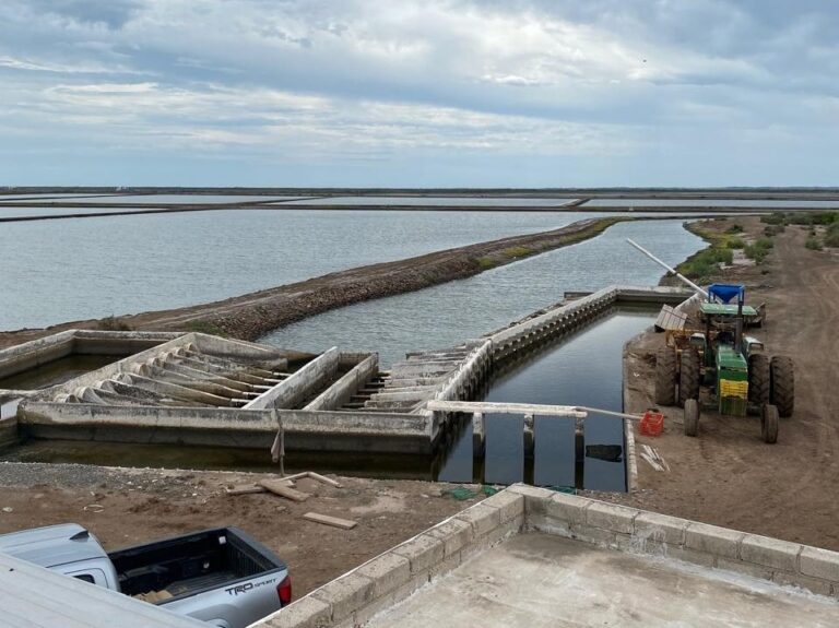 WhatsApp Image 2026-04-18 at 8.51.04 AM